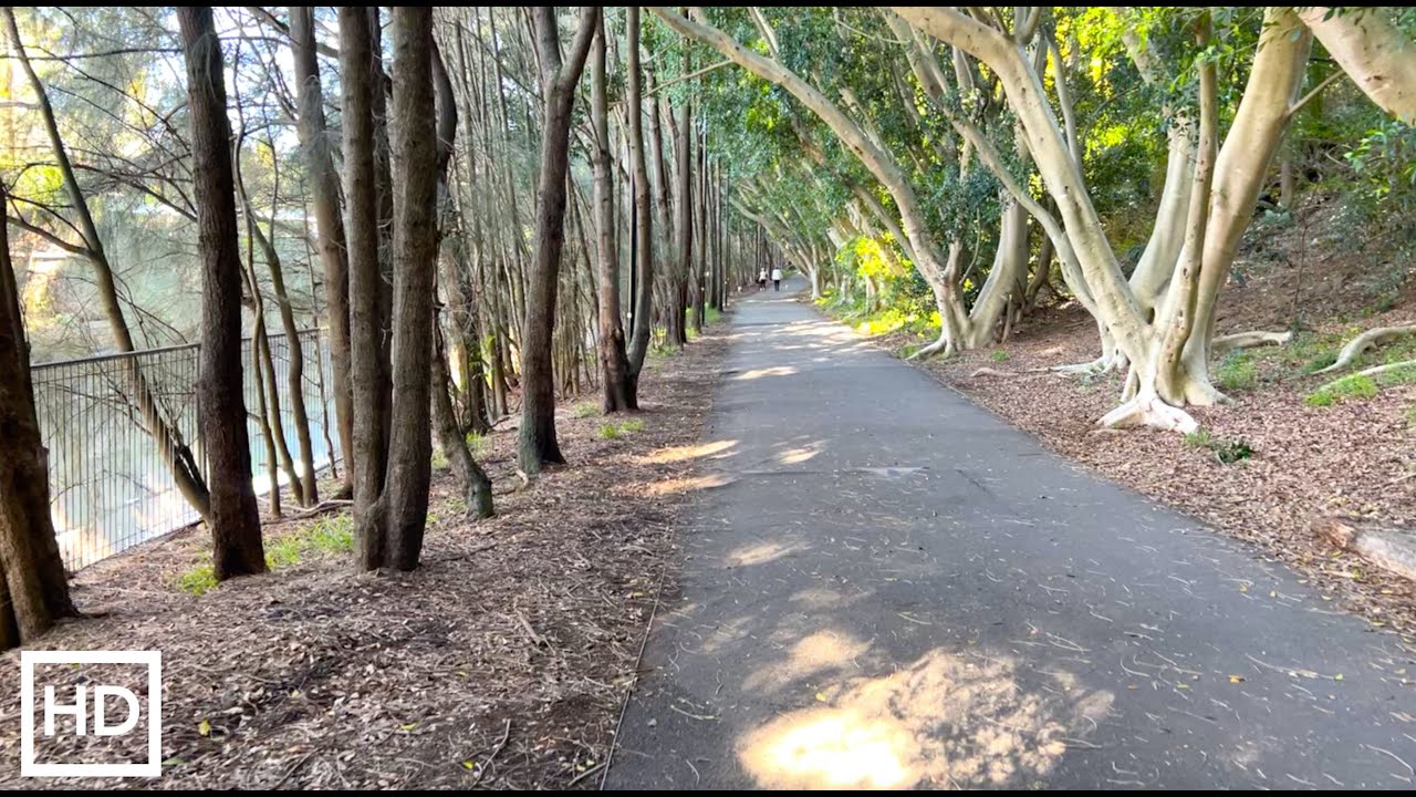 [HD] Afternoon walk from Lewisham to the Rozelle foreshore | Ambient Park Sounds ASMR
