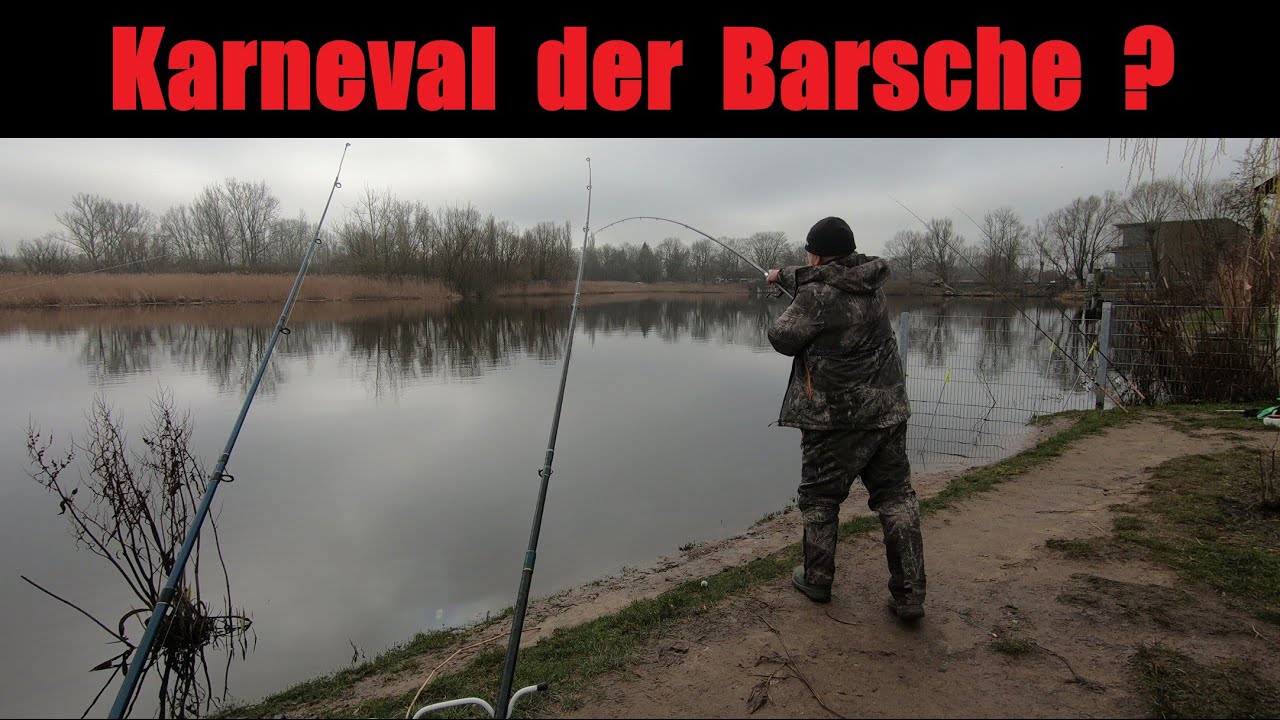 Karneval der Barsche ? - angeln auf Barsch - Grundangeln - Ansitzangeln - Anglerschwatz