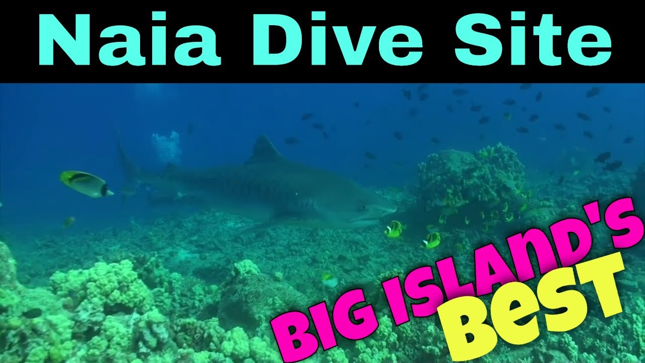 Big Island Scuba Diving - Naia Dive Site  | Kona Honu Divers