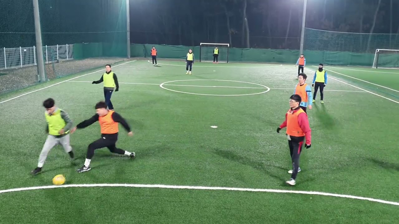 2026년 2월 12일