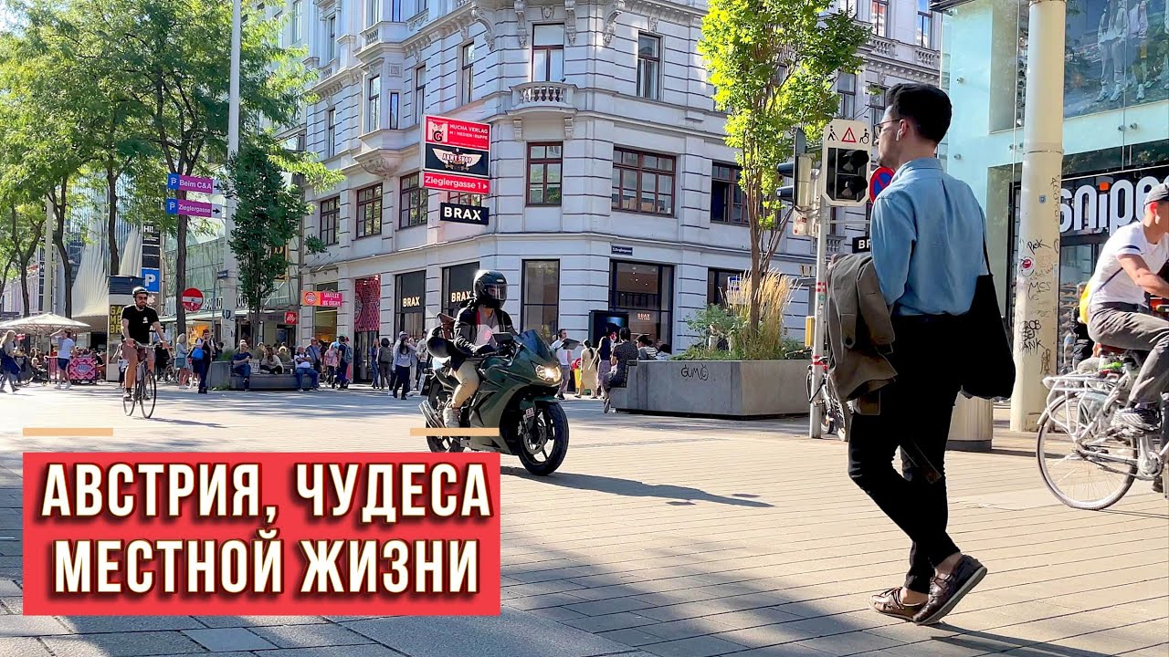 Жизнь в Австрии глазами иммигранта: работа и реальность