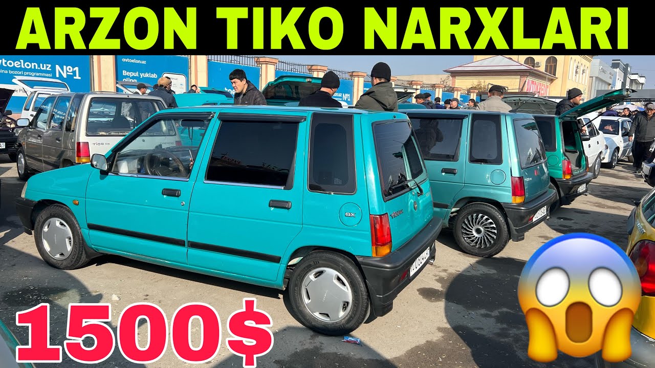 TIKO NARXLARI 2025 QARSHI MOSHINA BOZORI ARZON TIKO NARXLARI.