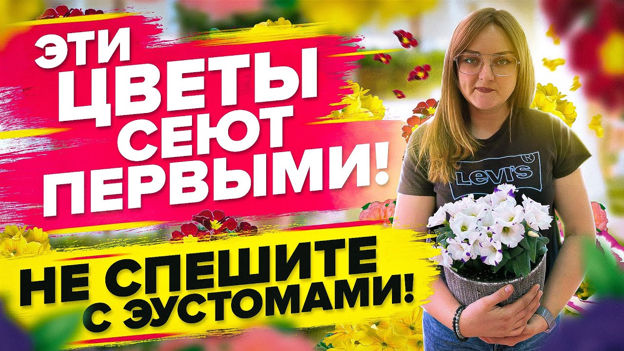 ЭТИ ЦВЕТЫ СЕЮТ ПЕРВЫМИ. ЭУСТОМА, ЛАВАНДА, БЕГОНИЯ, ПРИМУЛА