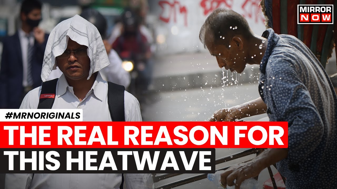 Heatwave In North India | What Is The Reason Behind Rising Temperature | English News