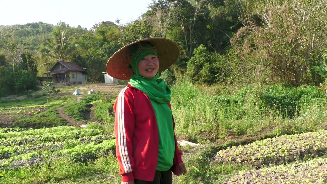 Ncig Teb Chaws 2024 Ep.15