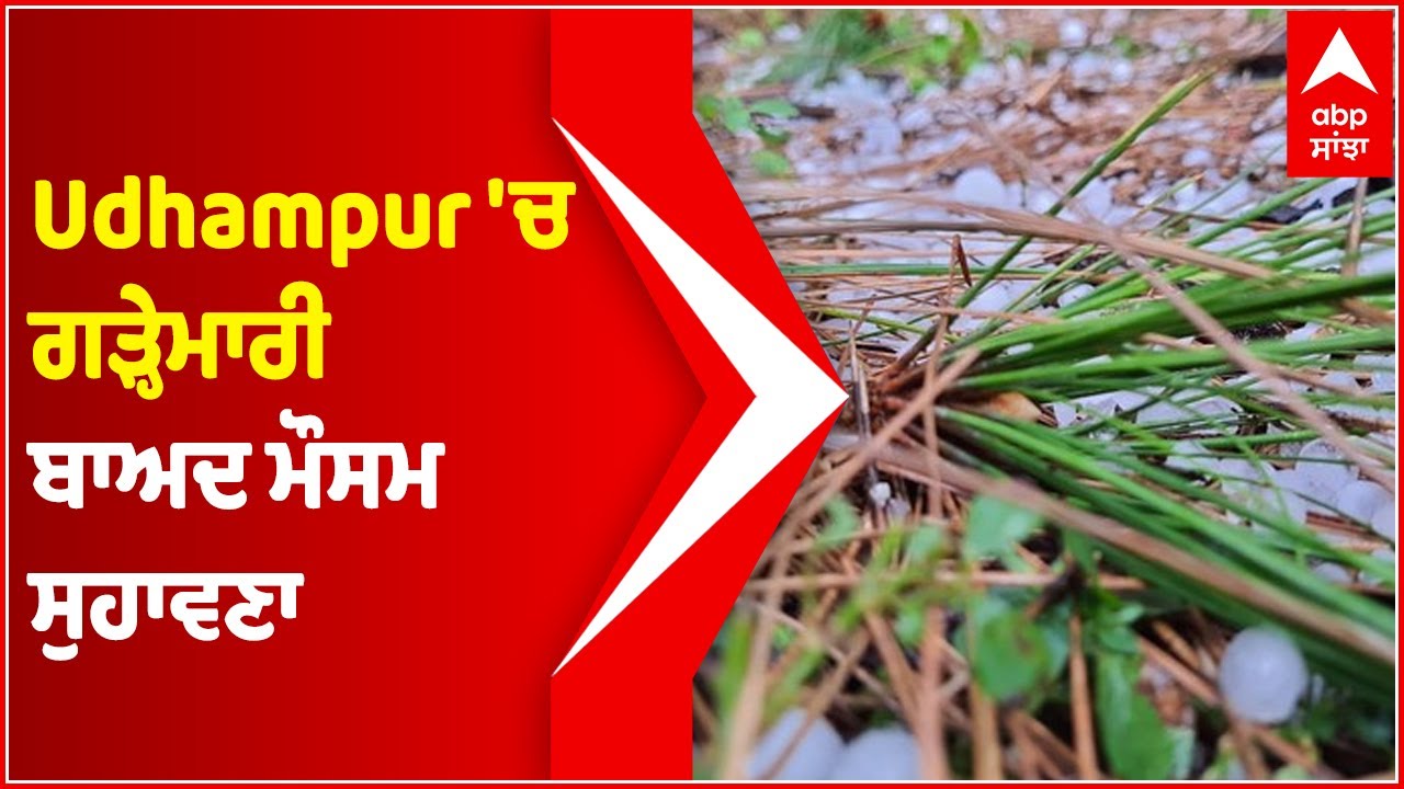 Hailstorm brings respite from heat in Udhampur | Heavy Rain in Jammu | Abp Sanjha