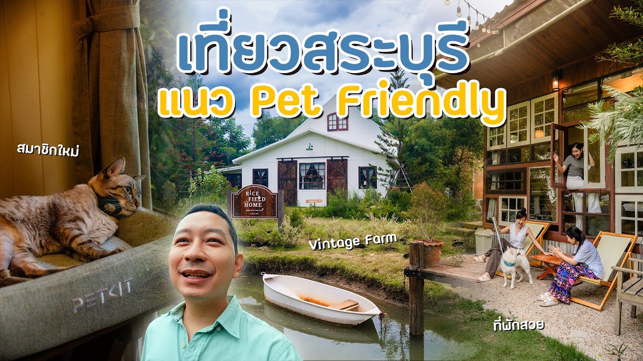 เที่ยวกับน้องแมวครั้งแรกที่ Rice Field Home จ.สระบุรี ที่พัก Pet-Friendly สุดอบอุ่น Ep.1/2