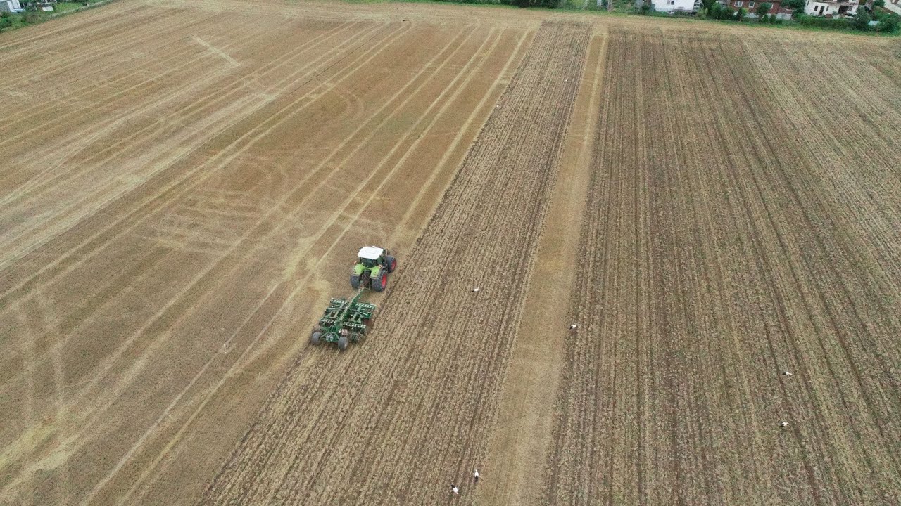 Bodenbearbeitung mit Claas Axion 850 and Simba SL 400 in Hessen