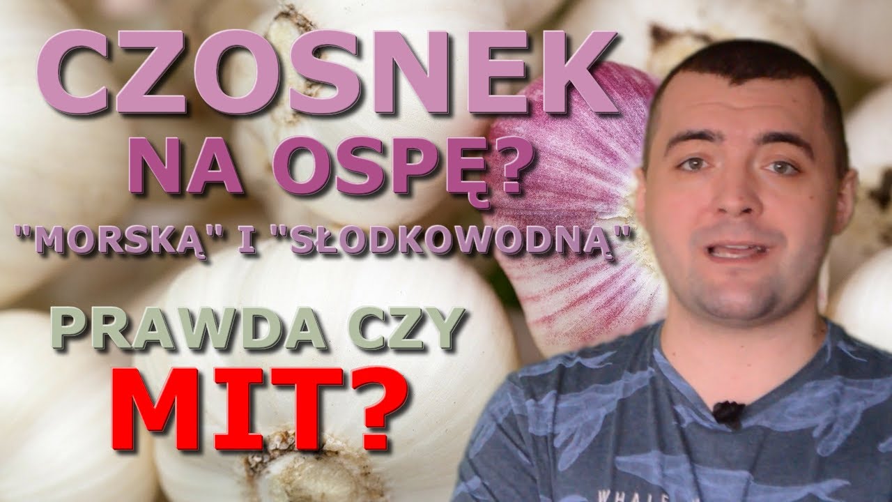 Czosnek lekiem na ospę 