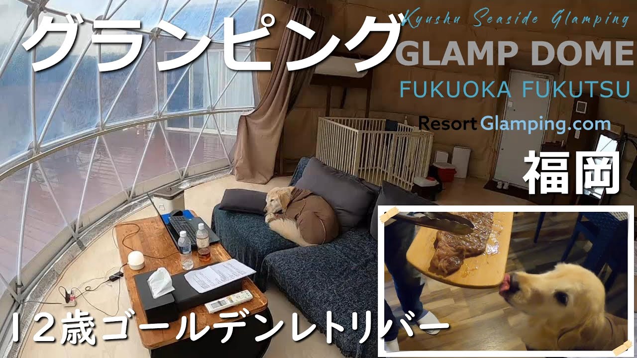 【愛犬と九州】初めてのドームテント【九州シーサイドグランピンググランプドーム福岡ふくつ】でいい思い出が出来ました