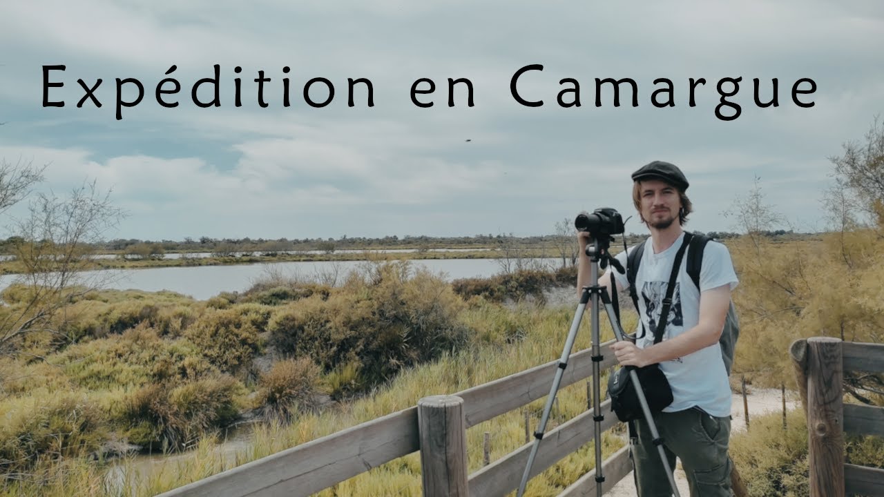 La Camargue - Chapitre 3 :  Les Marais du Vigueirat