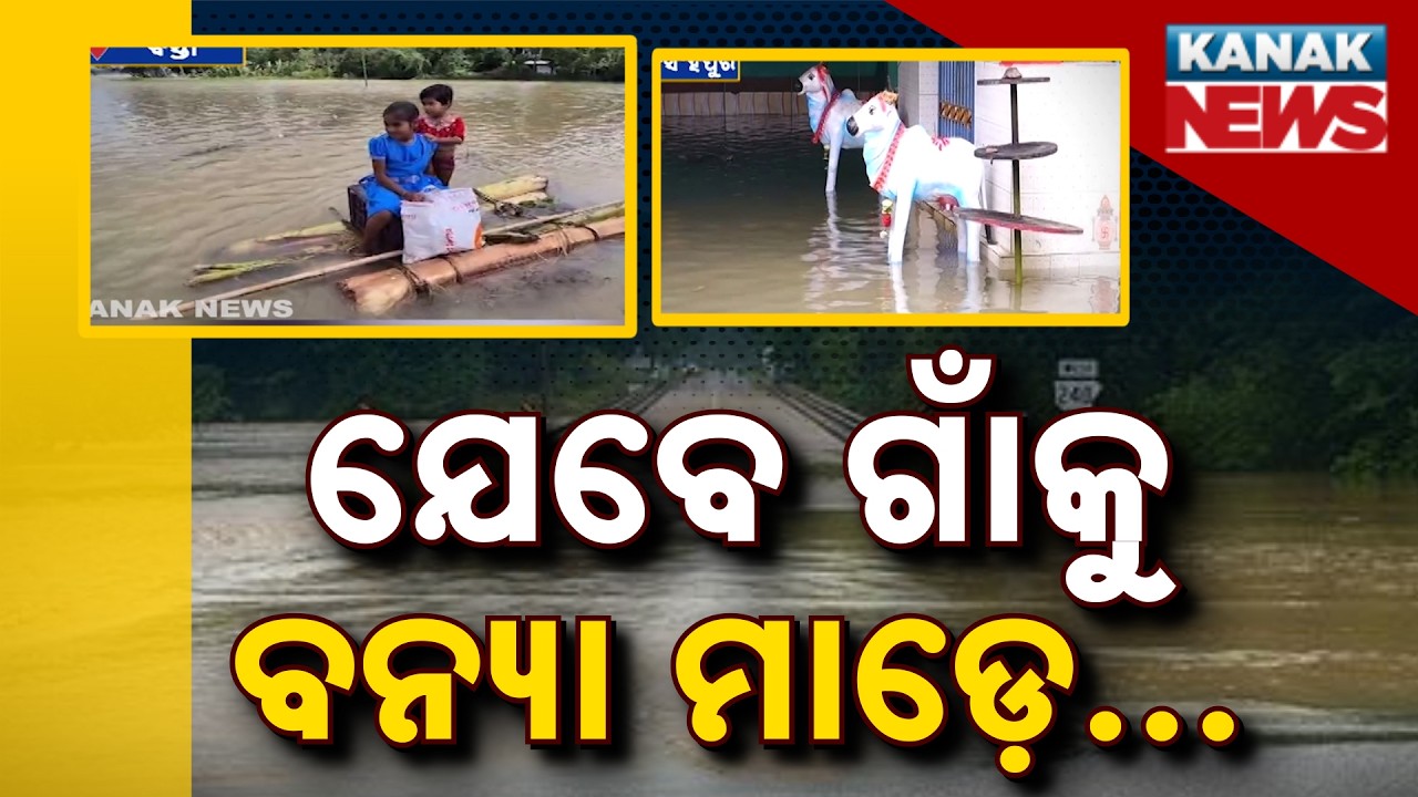 Flood Alert! Odisha Battles Massive Floods as Roads and Bridges Go Under Water After Heavy Rain
