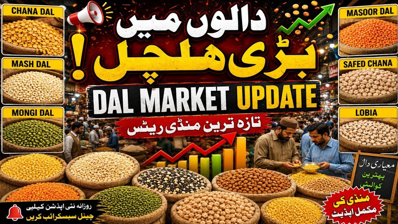 Dal Market Update | Chana, Mash, Mongi Aur Masoor Latest Rates Today