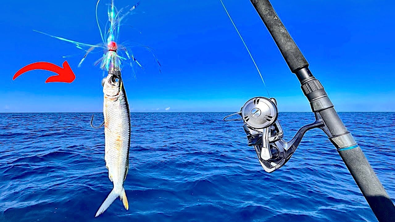 Мои самые большие, безумные и эпичные уловы 2025 года! ***МНОЖЕСТВО ЭПИЧНЫХ ВИДОВ***