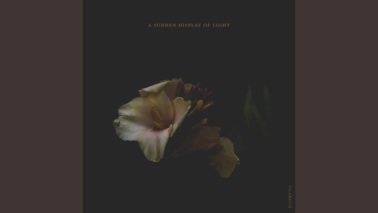 A Sudden Display of Light