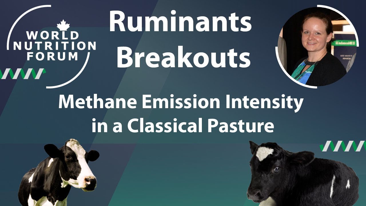 WNF 2016 Ruminants Breakouts: 02 Methane Emission Intensity in a Classical Pasture