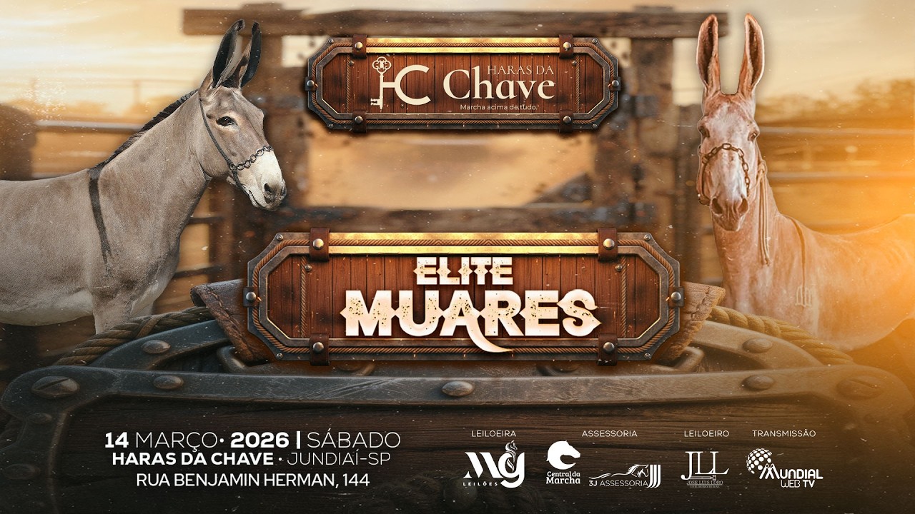 1° LEILÃO ELITE MUARES HARAS DA CHAVE E CONVIDADOS ESPECIAIS