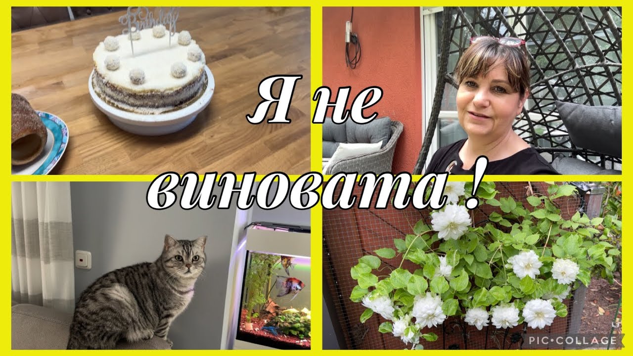 Сюрприз от Сабрины да день рождения,вам повезло больше,я не виновата,переживала за … какие потери
