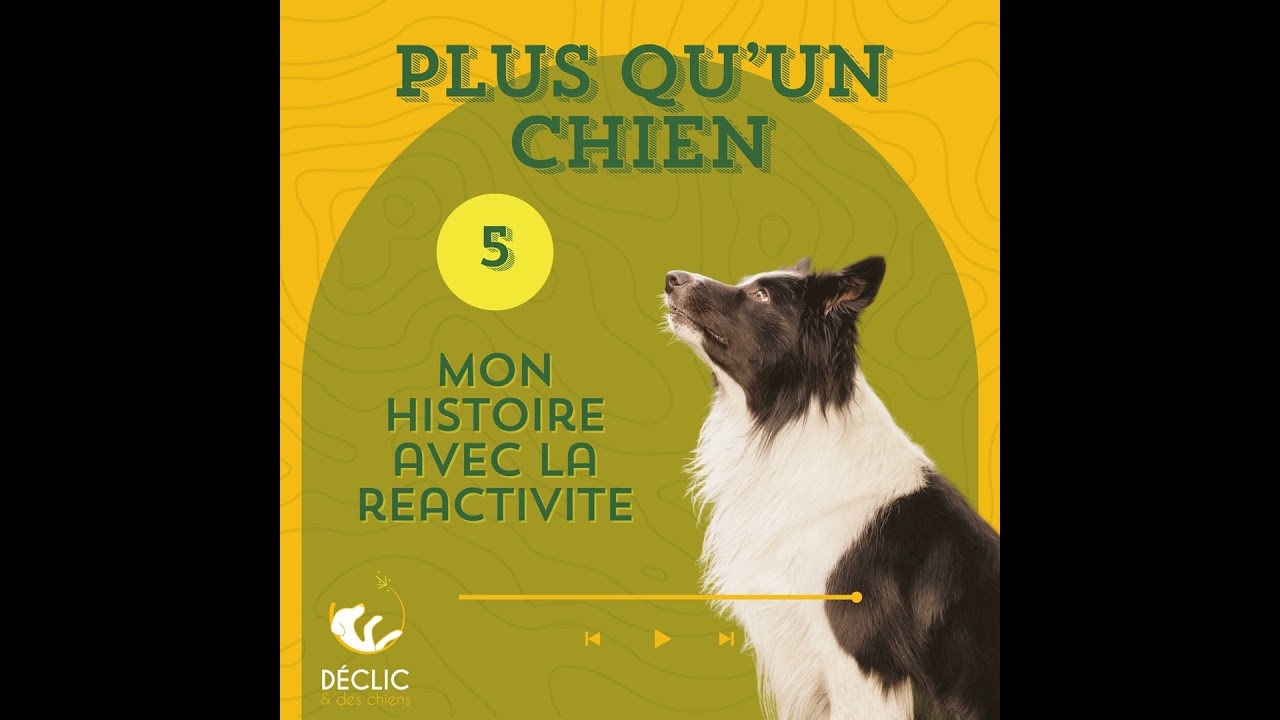 Mon histoire personnelle avec la réactivité