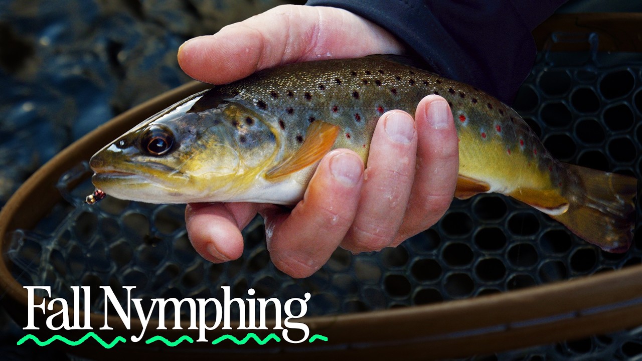 Autumn Nymphing on a Pennsylvania Cow Farm