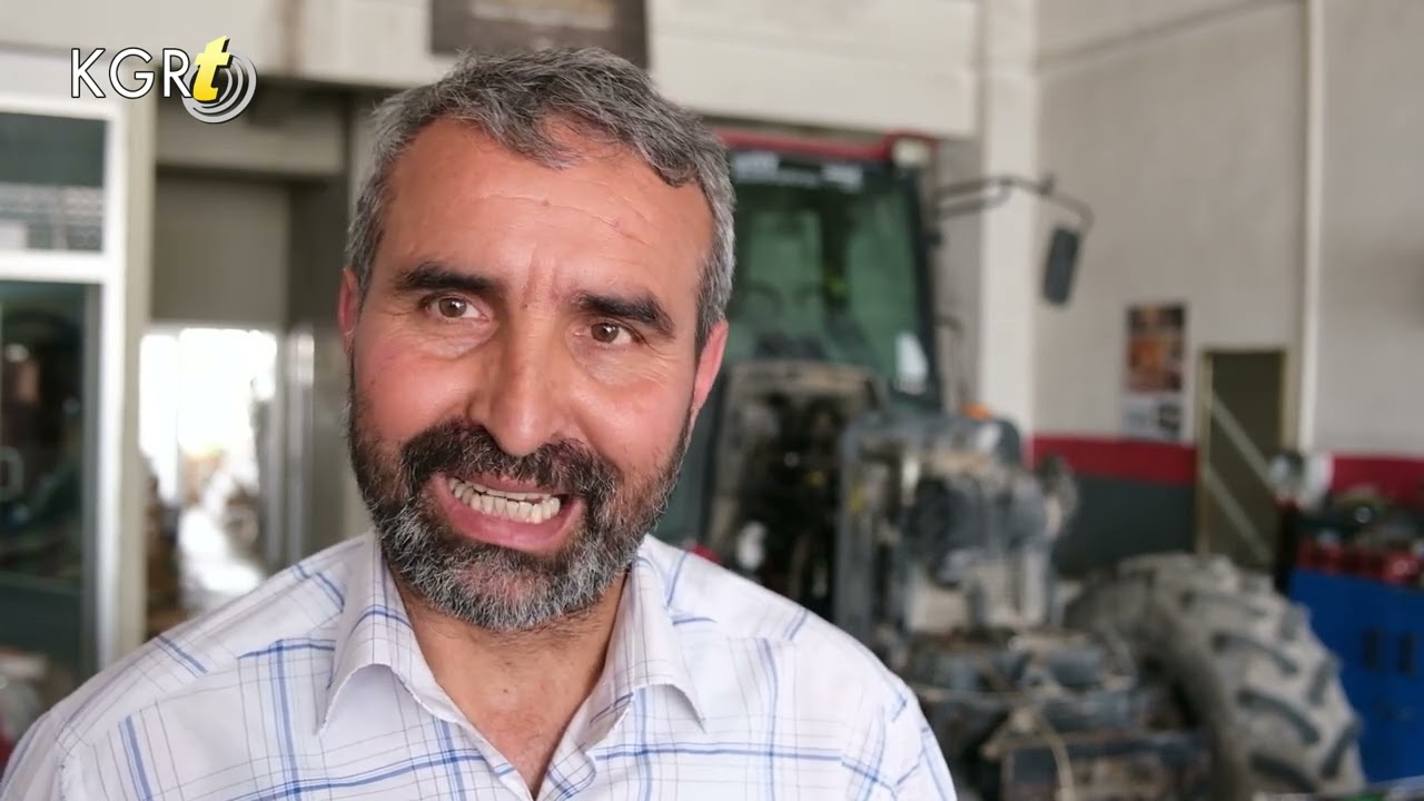 Karaman’da hamile kedi sanayide doğum yaptı: işyeri sahibi yavrularına gözü gibi bakıyor