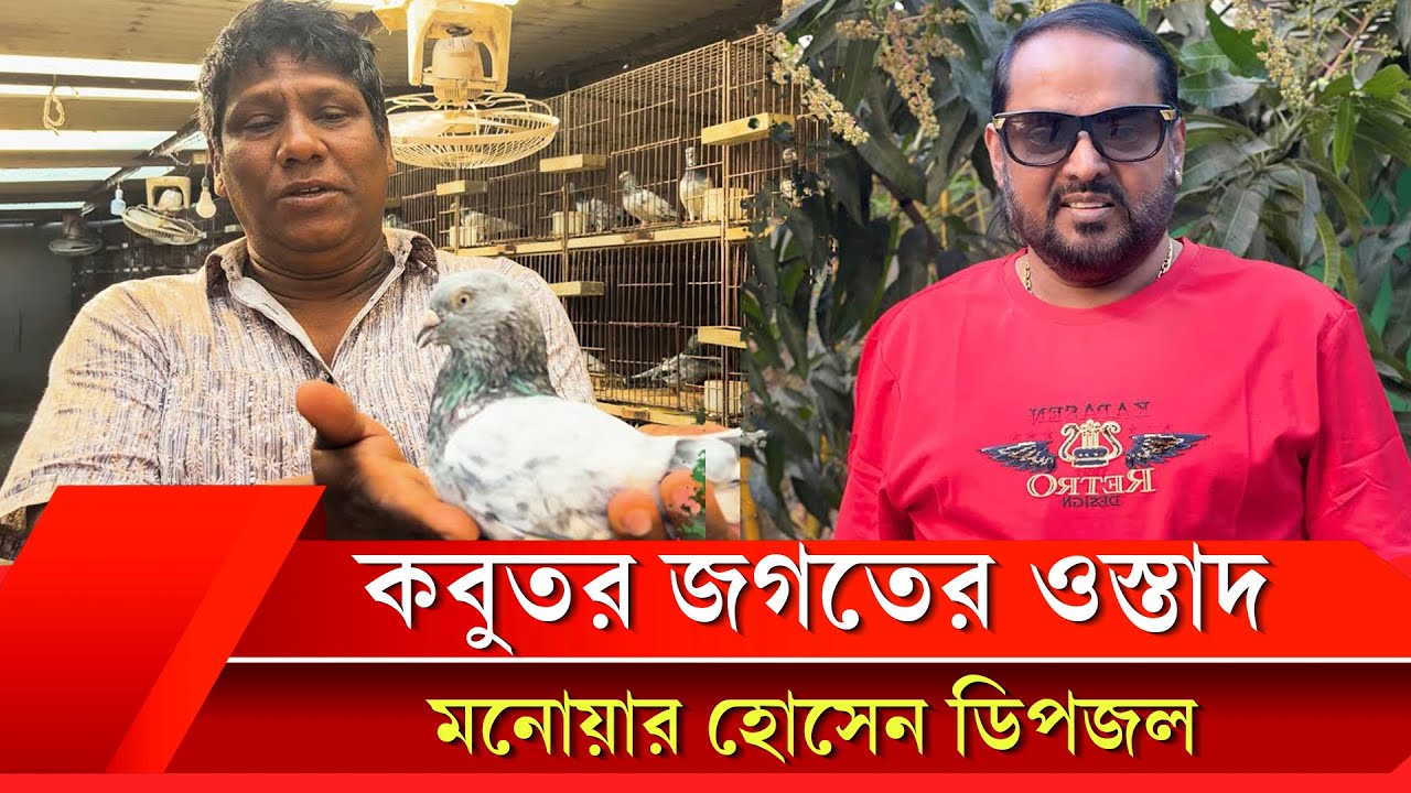 কবুতর জগতের ওস্তাদ মনোয়ার হোসেন ডিপজল | হাজী মোঃ রবিন | Pigeon | Dipjol