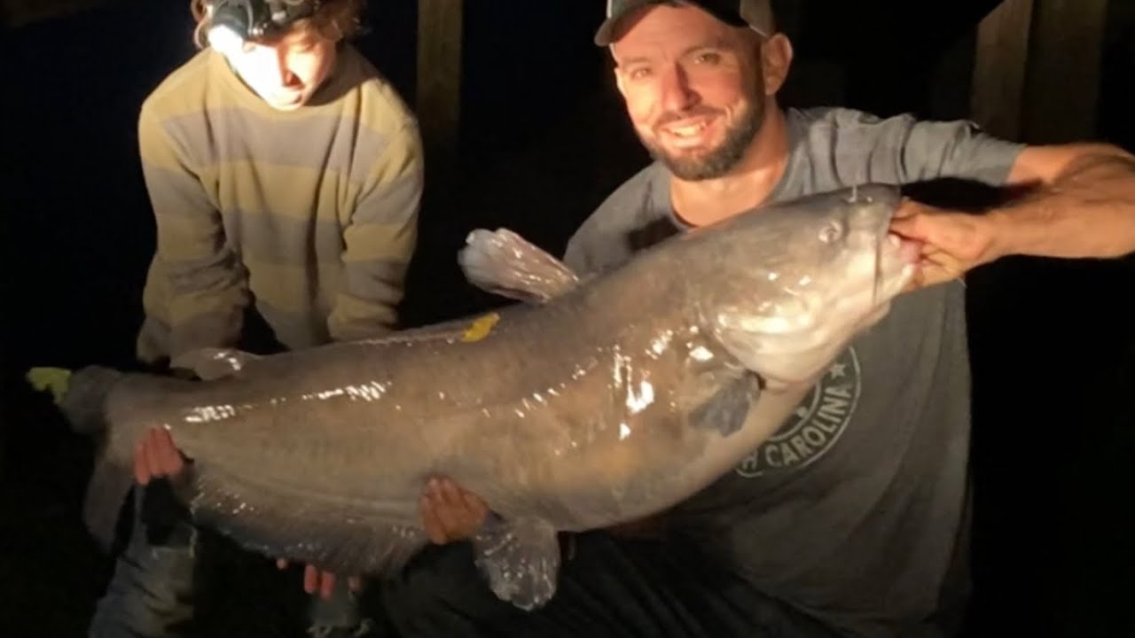 Catching huge blue catfish on the Rappahannock river & Catch and cook