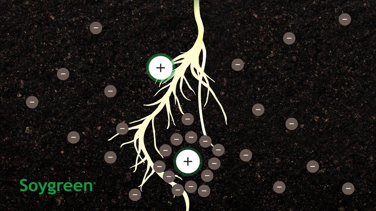 How Chelation Works In Agriculture