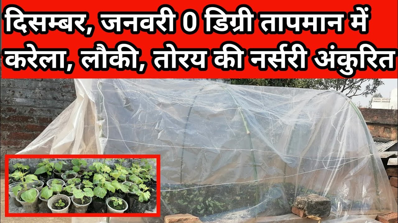 दिसम्बर, जनवरी में करेला,लौकी, तोरय, खिरा कि नर्सरी तैयार करने का तरीका //0 डिग्री तापमान में नर्सरी