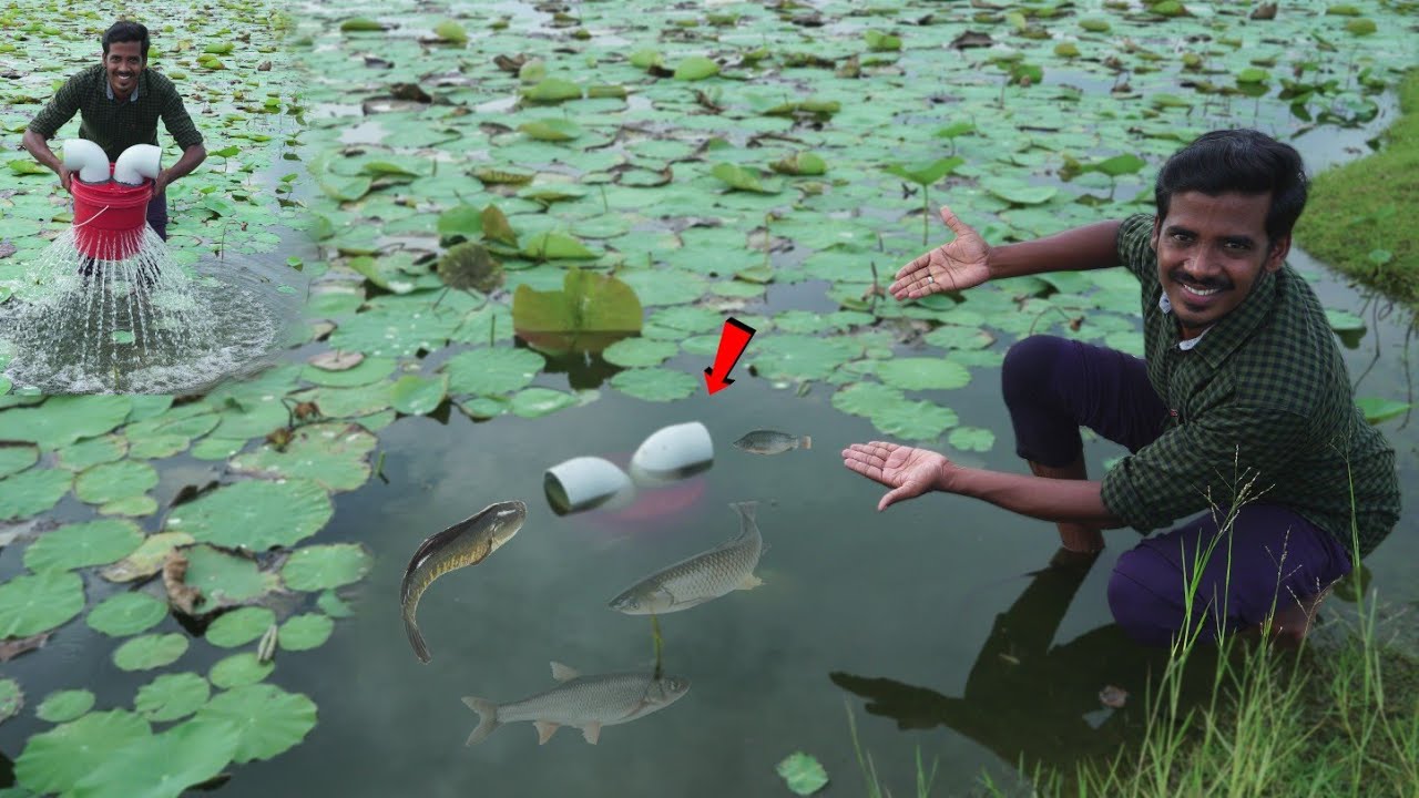 Fish Trap | பழைய வாளி 🪣 வெச்சி மீன் வேட்டை | Working 💯 | Simple Fish trap with Old Bucket..!? MmK