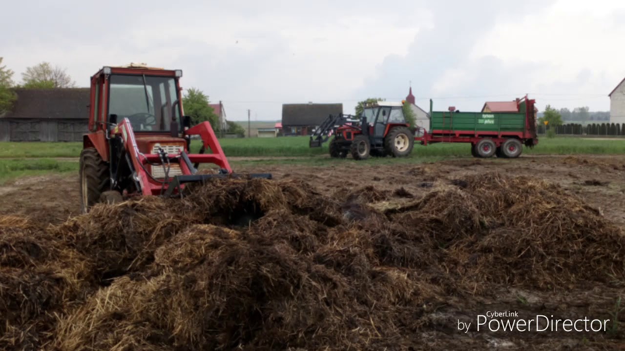 Akcja wożenie obornika pod kukurydze 2k19 🚜 (Zetor 7745 Plus & Tytan 10 Plus) 🚜😎