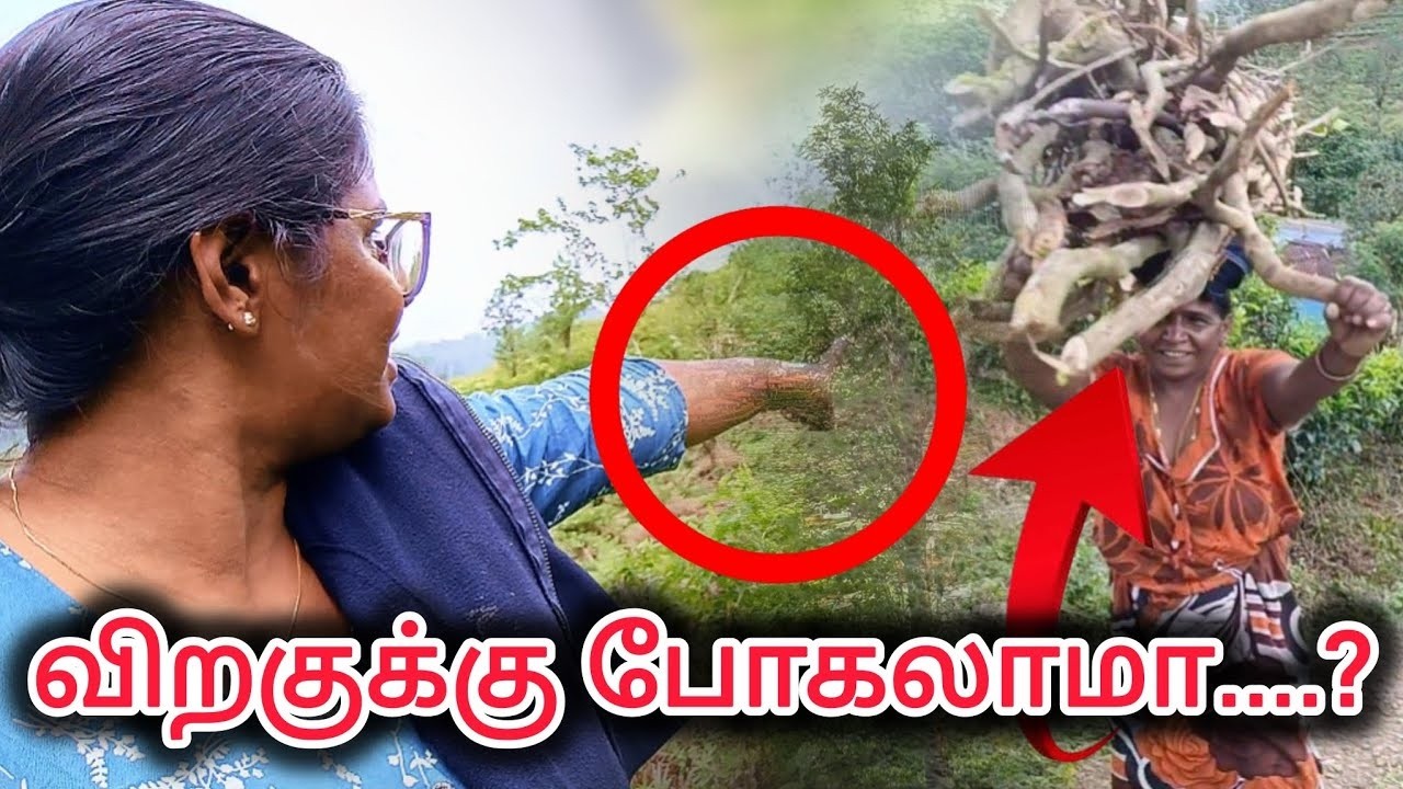 இந்த வாழ்க்கை தான் உண்மையான உலகம் I Malaiyaga Thamizhachi I Upcountry Life Style