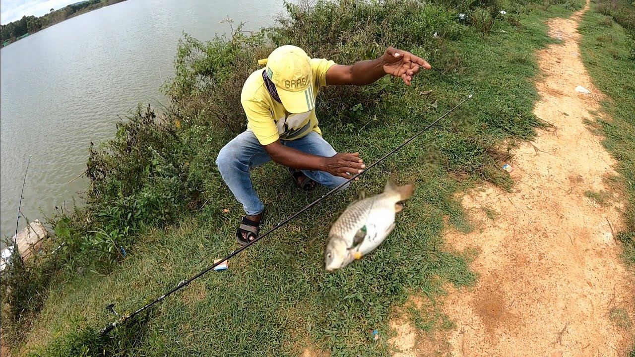 सभी मछलियों के लिए एक चारा !! One Trick For All Fish Hunters