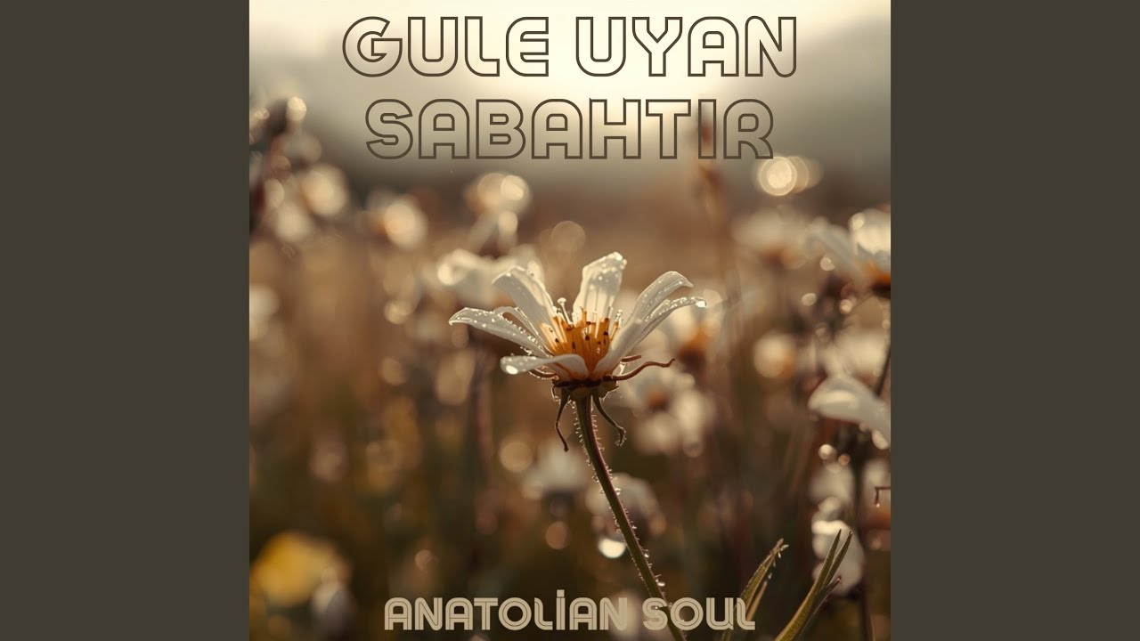 Gule Uyan Sabahtır