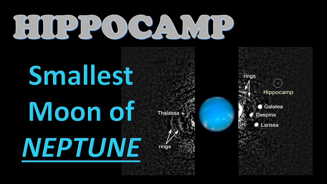 Hippocamp: Neptune's Smallest Moon