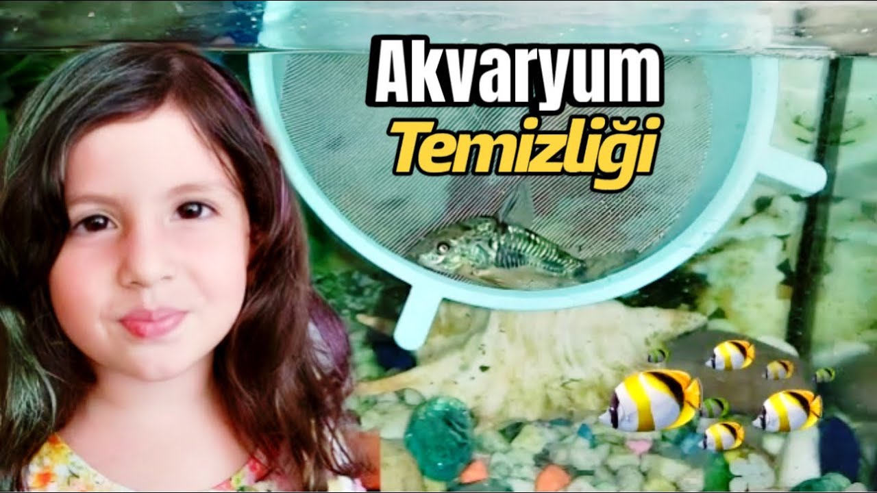 Esmanur ve Esila Akvaryumda Balığa Yem Verdi Akvaryumu Temizledi