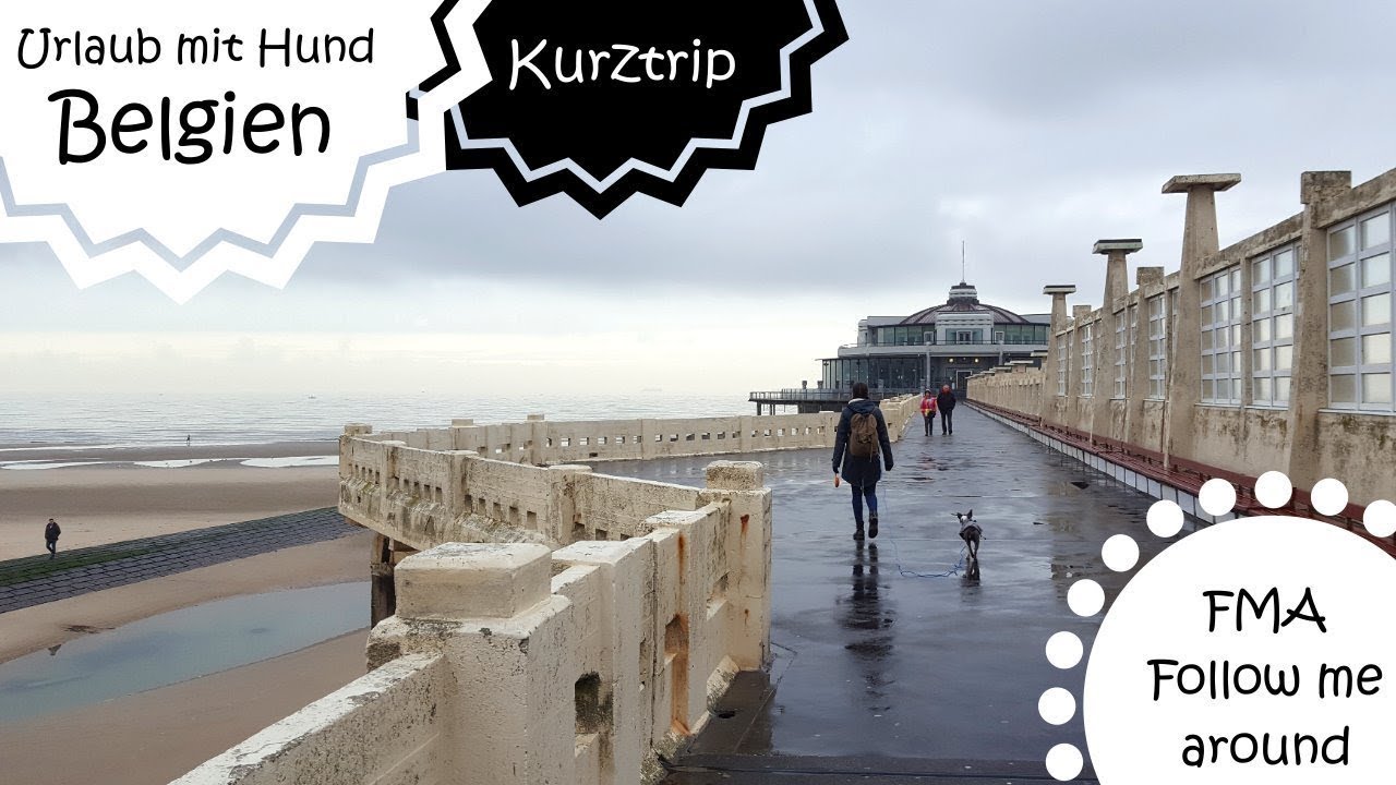 Urlaub mit Hund - Belgien - Follow me around - Kurztrip - FMA