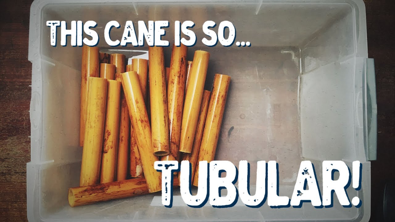 Utku Suna Tube Cane | Bassoon Reed Making