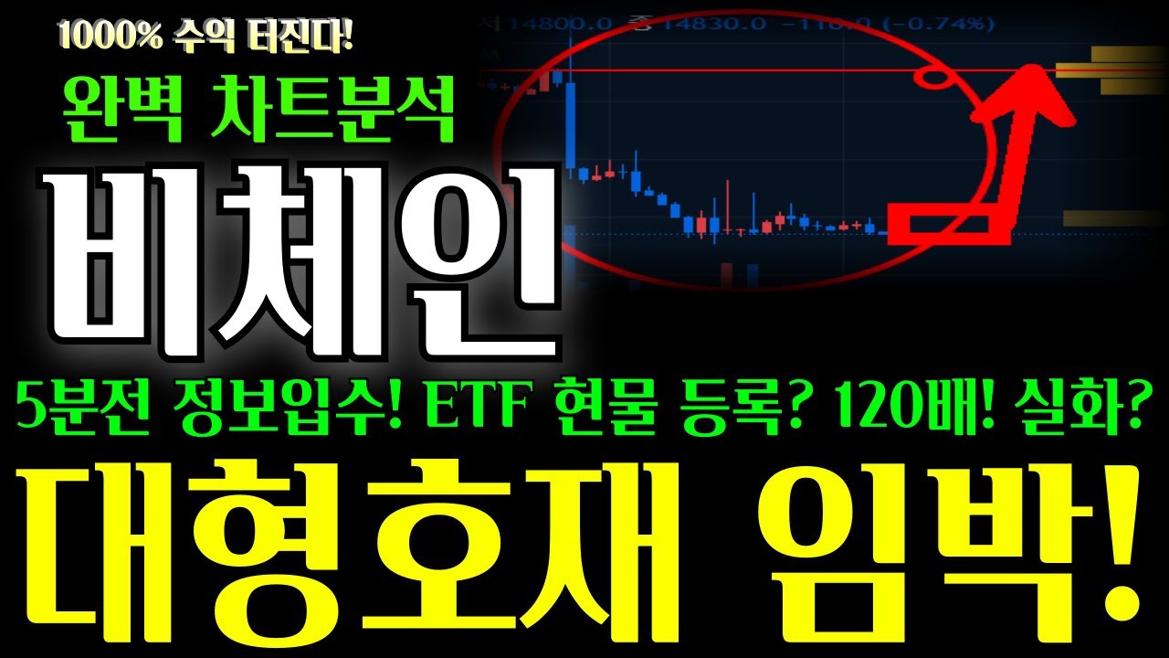 비체인 코인전망 대형호재 임박 빠르게 확인하세요! 