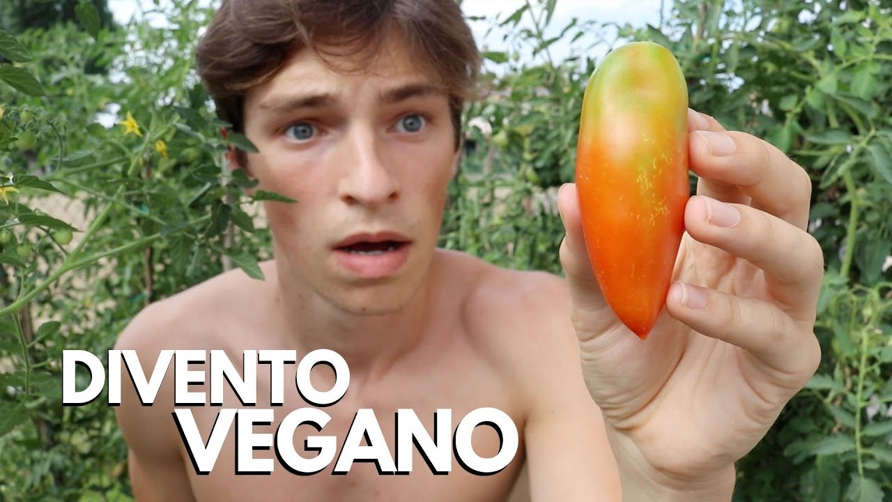 HO MANGIATO VEGANO PER UNA SETTIMANA (Ecco cosa è successo…)