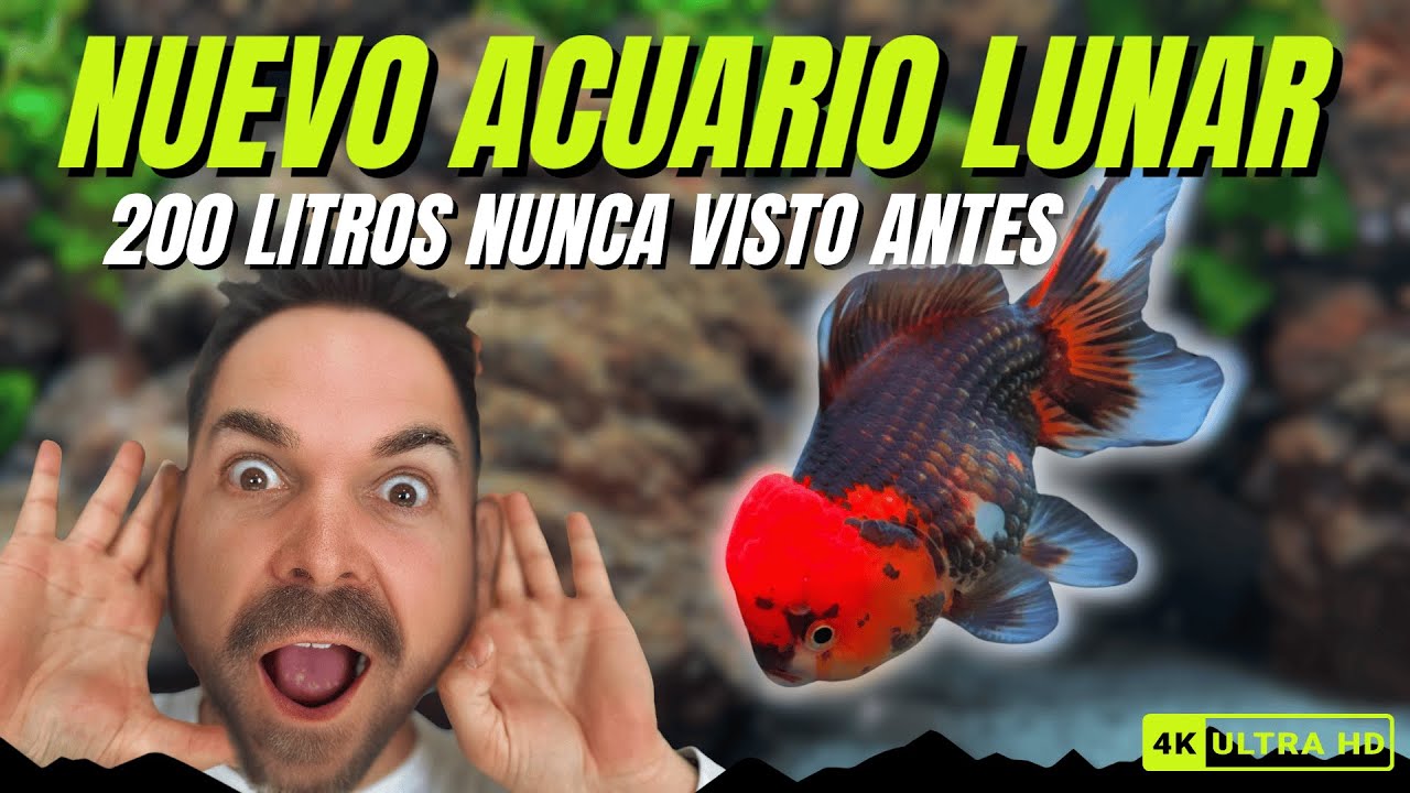 🌕 ¡NUNCA VISTO ANTES! Nuestro nuevo acuario LUNAR te dejará sin palabras ►