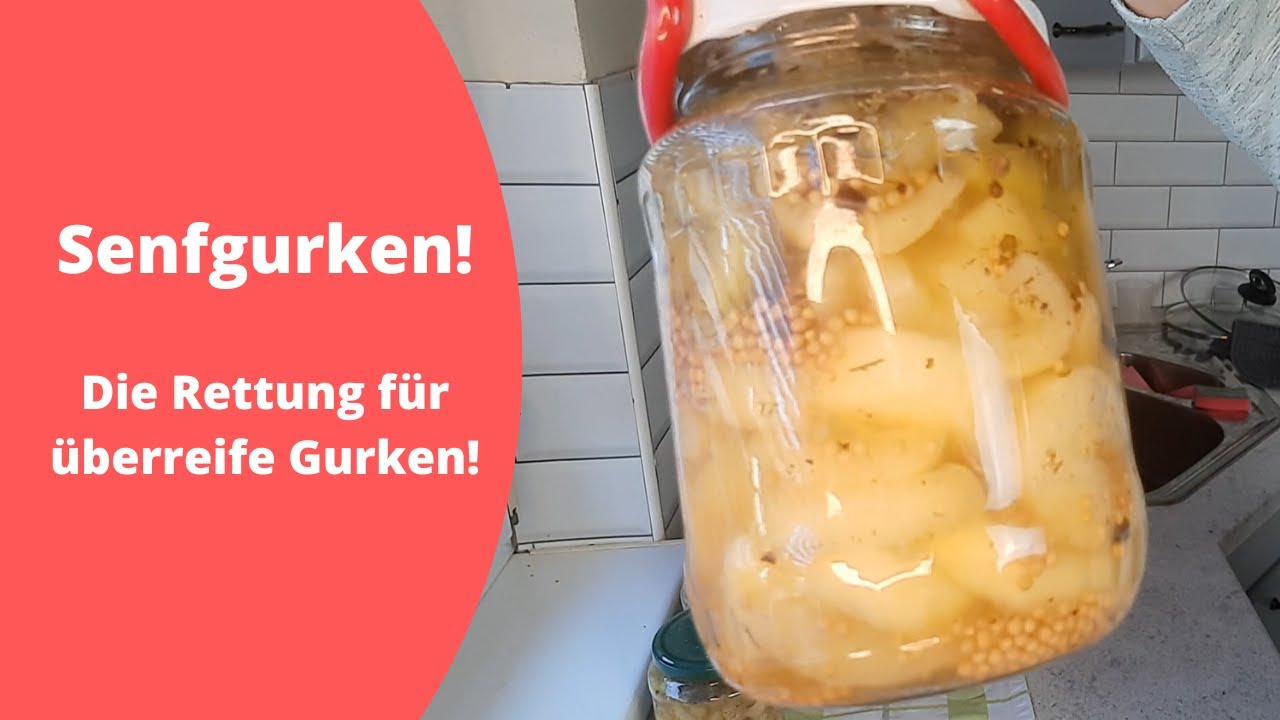 Senfgurken - perfekt, um überreife Gurken zu verarbeiten!