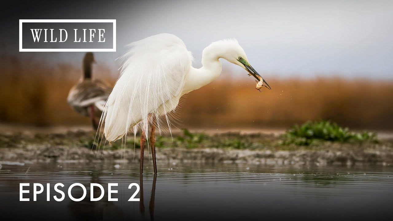 India Unveiled: The Hidden Treasures of Nature | Destination Wild: India's Lost Worlds | Episode 2