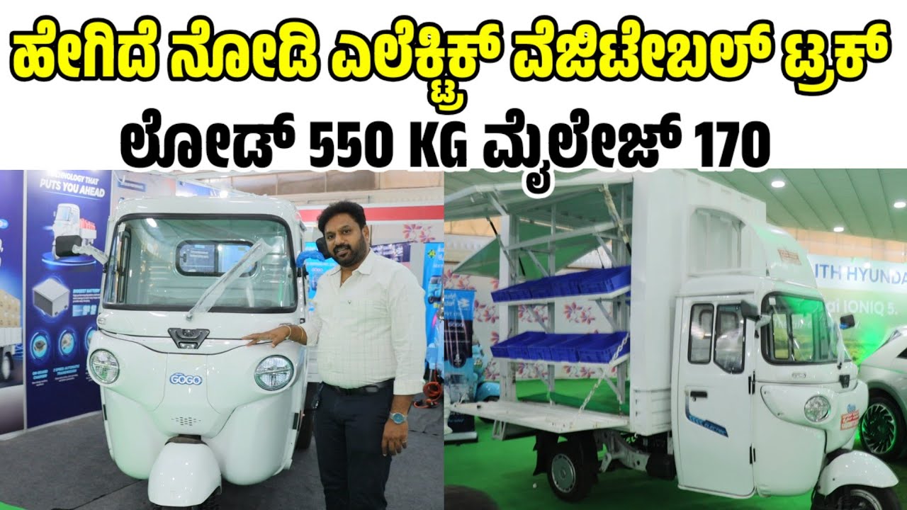 ಹೇಗಿದೆ ನೋಡಿ ಎಲೆಕ್ಟ್ರಿಕ್ ವೆಜಿಟೇಬಲ್ ಟ್ರಕ್ electric food truck review |bajaj gogo cargo EV auto review 
