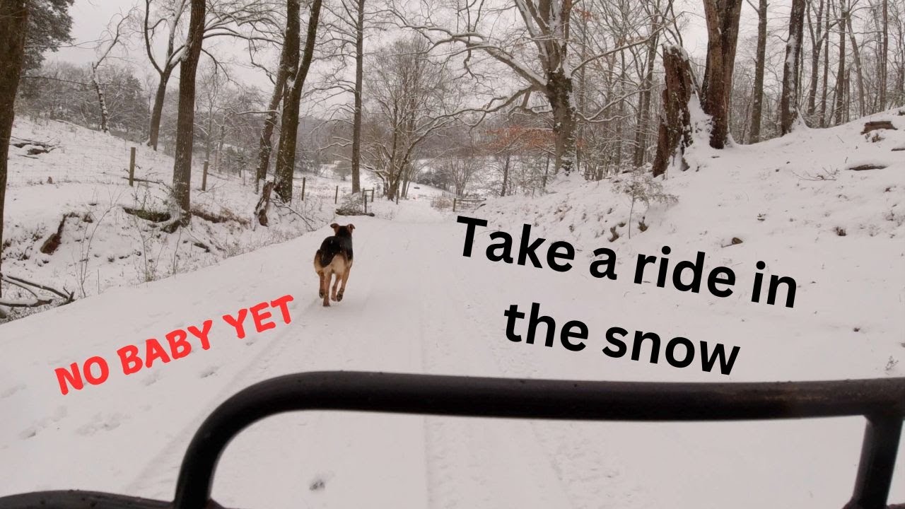 The Adventures of Dave and RC #100 Take a ride in the Snow/No Baby yet