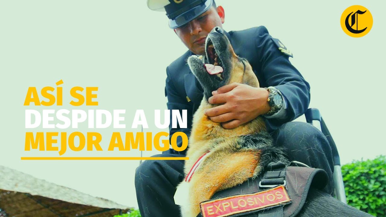 El pase a retiro de los canes de la Marina de Guerra | El Comercio | VideosEC