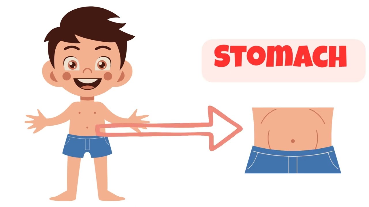 Learn Body Parts for Kids | Body Parts Name in English | Preschool Learning Video | Tiny Wisdom