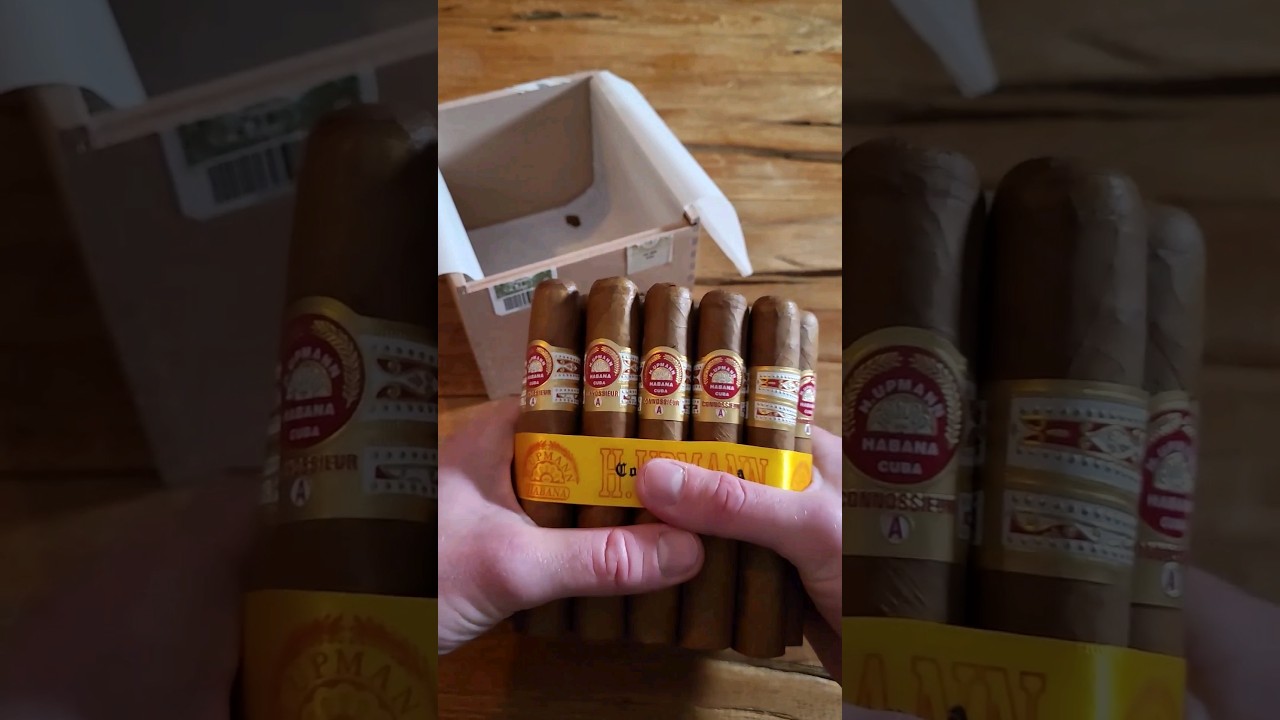 This sweet and creamy cigar is really perfect ✌️☀️🔥 #asmr #cigar #cigarshow #zigarre #habanos #cuba