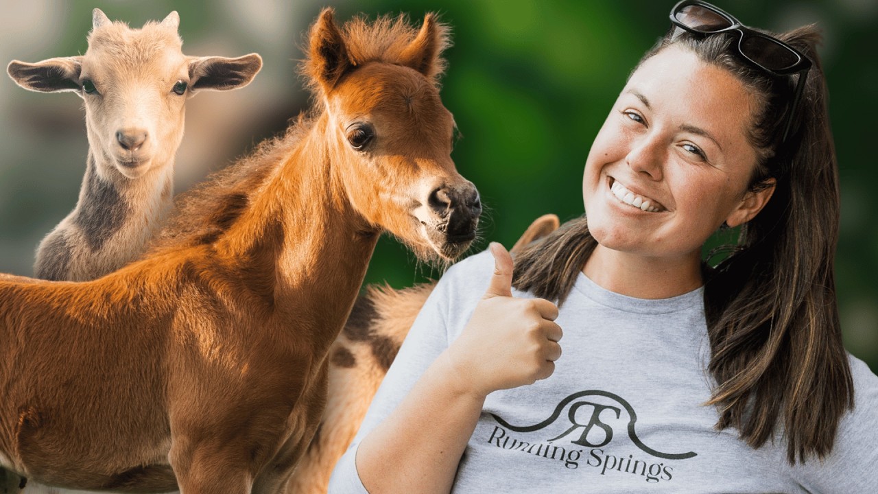 Jack Is My Spunky Mini Horse - Watch This!