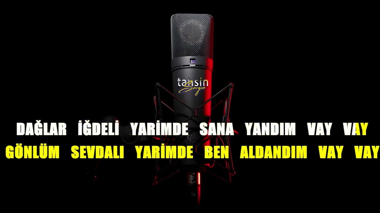 Afşin Akyol - İğdeli Yar / Karaoke / Md Altyapı / Cover / Lyrics / HQ